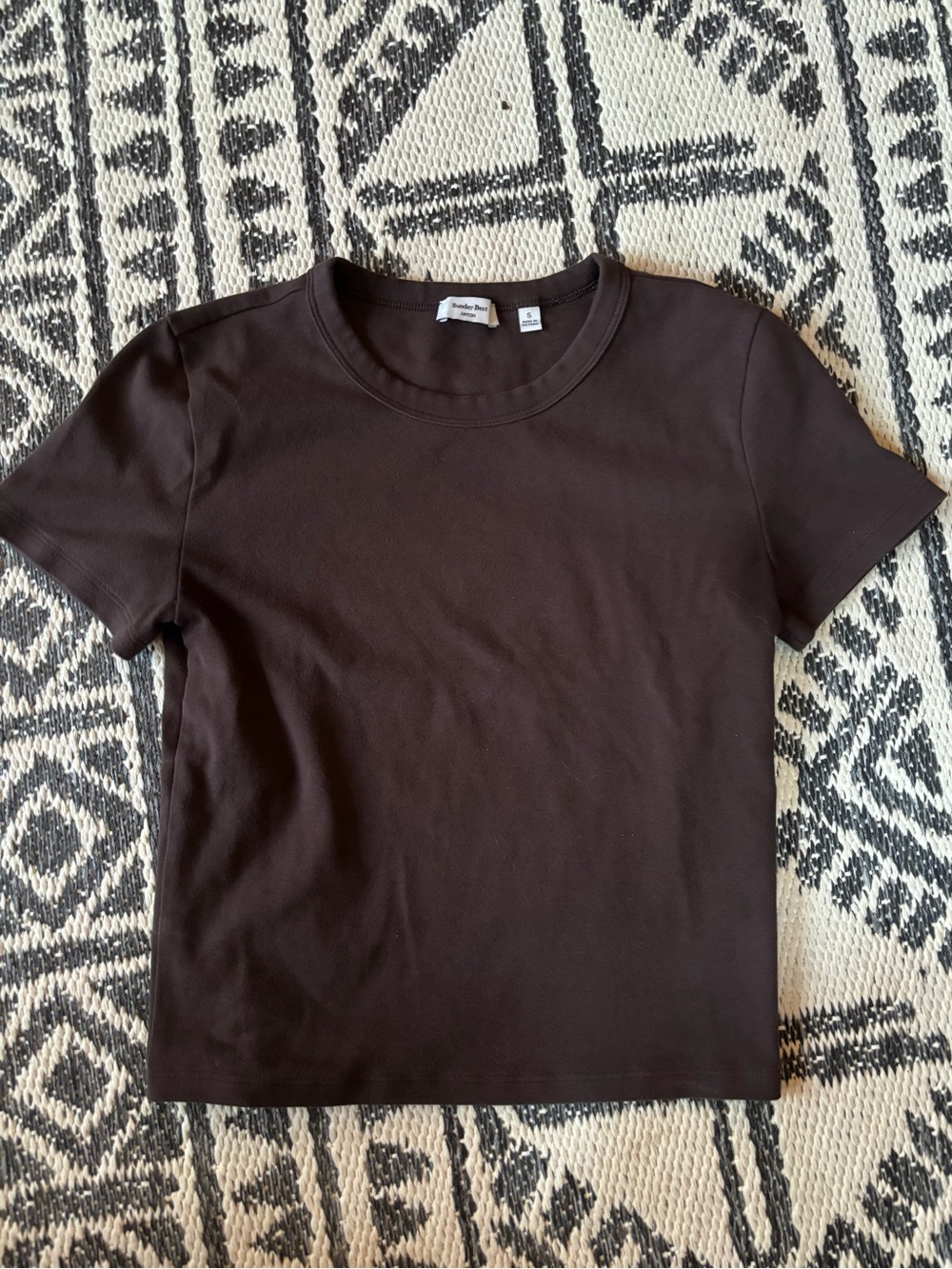 Aritzia Sunday Best Shirt